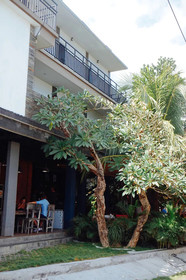 Double A House