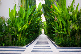 D'Wina Villa Canggu