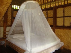 Flower Bud Bungalow