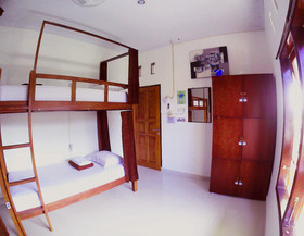 In Calm Hostel Canggu