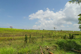 Mahamustika River Side