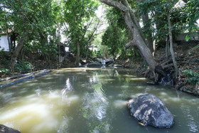 Mahamustika River Side