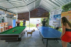 Margarita Surf Hostel