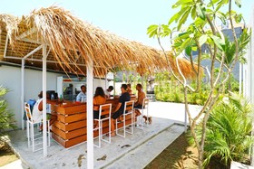 Margarita Surf Hostel