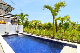 Margarita Surf Hostel