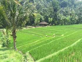 Maylie Bali Villa Bungalows