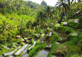 Maylie Bali Villa Bungalows
