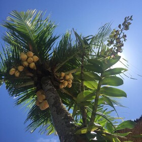 Maylie Bali Villa Bungalows