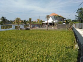 Padi Padi Canggu Luxury Room