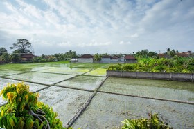 Pondok 789 by OYO Rooms