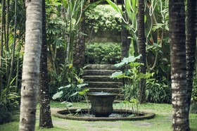 Reddoor Bali