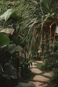Rimbun Canggu Hotel