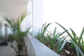 Sau Bali Beach House Canggu