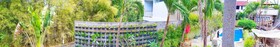 Serenity Twin Hotel Canggu