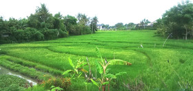 Sunari Guest House