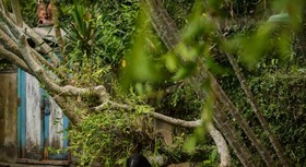 Taman Nauli Bed & Breakfast