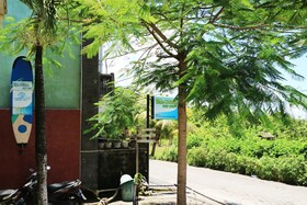 The Wina Guest House 2