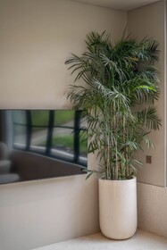 Vesna Townhouse 1