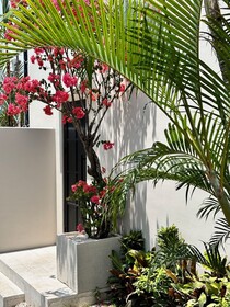 Vesna Townhouse 1