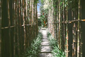 Villa Oasis In Canggu