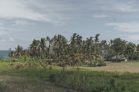 Dune Seseh