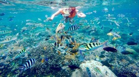 Rumah Marta Ceningan Island