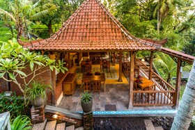 Uma Sari Rice Terrace