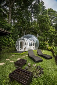 Bubble Hotel Ubud