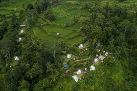 Bubble Hotel Ubud