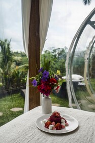 Bubble Hotel Ubud