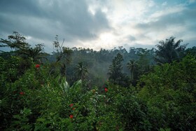 Campuhan Sebatu Resort