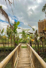 Lumbung Langit Bali House and Hostel