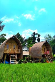 Lumbung Langit Bali House and Hostel