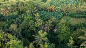 Sacred Canyon Ubud By Pramana Villas