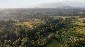 Sacred Canyon Ubud By Pramana Villas