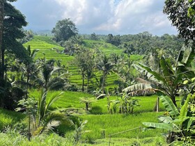 Saridevi Ecolodge