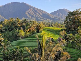 Saridevi Ecolodge
