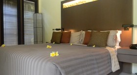 The Ahimsa Beach