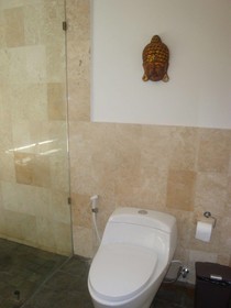 Aqua Octaviana Bali Villa