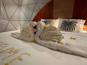 Glamping @ Pebbles & Fins