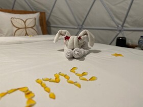 Glamping @ Pebbles & Fins