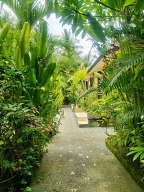 My Flowers Homestay