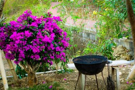 Pier26 Homestay Bali