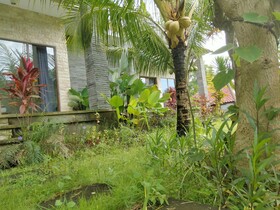 Pier26 Homestay Bali