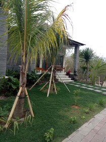 Pier26 Homestay Bali