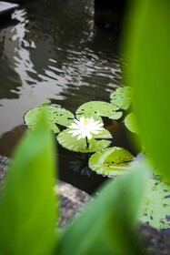 Legian Paradiso Hotel