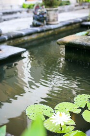 Legian Paradiso Hotel