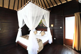 Bali Belva