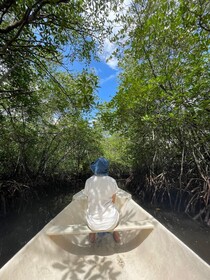 Gecko Villa & Bungalows