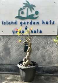 Island Garden Huts Lembongan